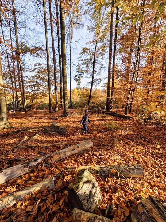 Bild: 20251129-171433.jpg